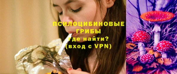 дмт Фурманов