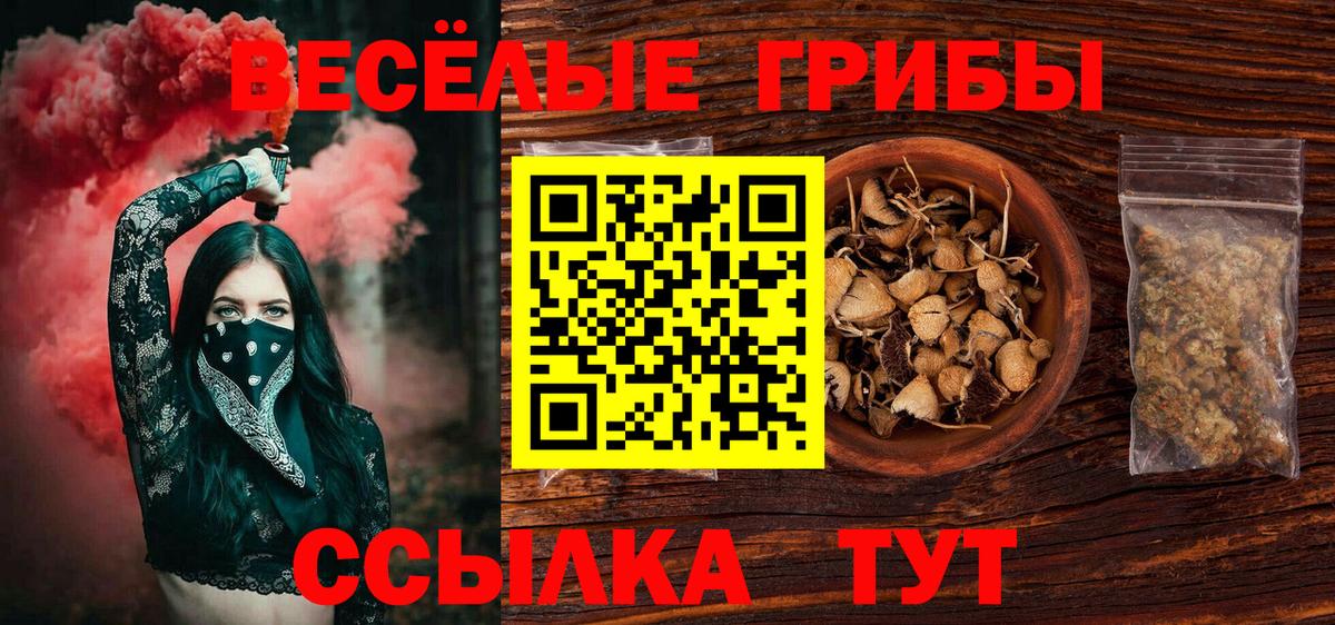 Черногорск  Галлюциногенные грибы прущие грибы  Вход с VPN 