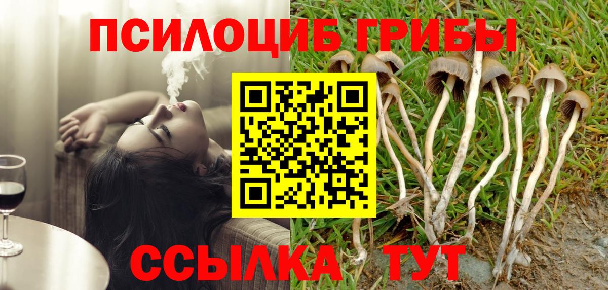 Галлюциногенные грибы Cubensis Черногорск