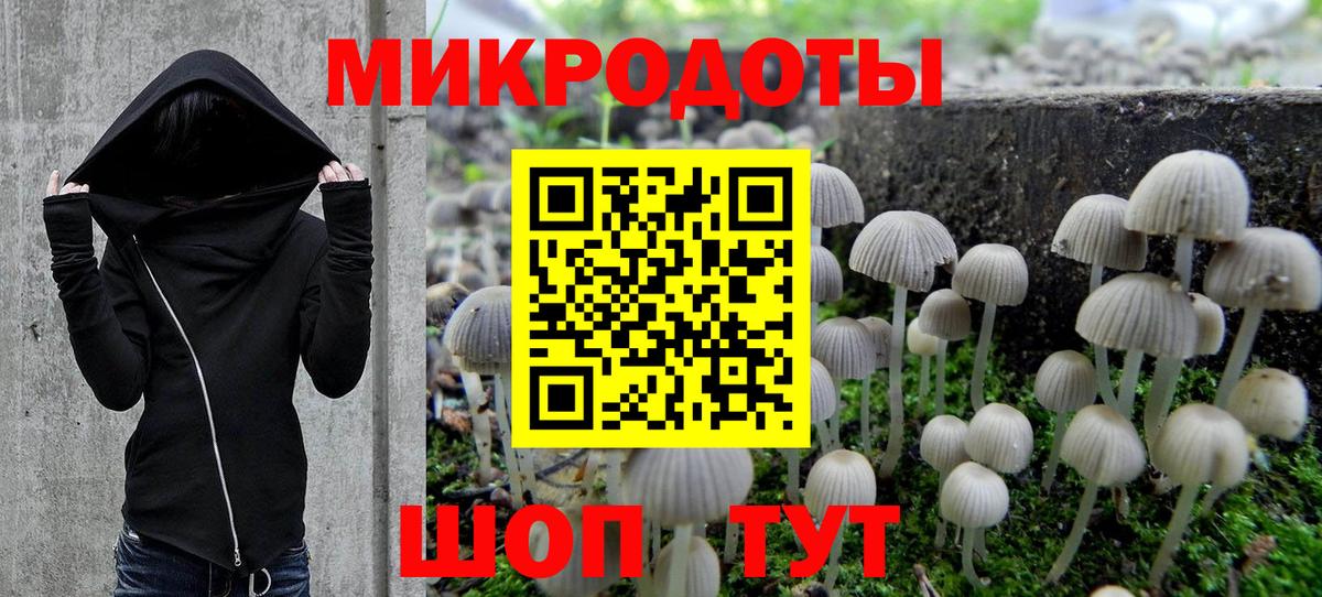 Псилоцибиновые грибы ЛСД  Черногорск 